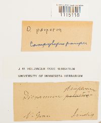 Image Associated With the Occurrence