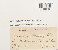 Image Associated With the Occurrence