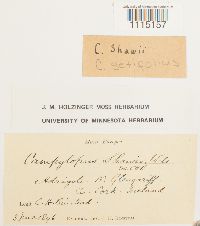 Image Associated With the Occurrence