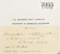 Image Associated With the Occurrence