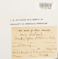 Image Associated With the Occurrence