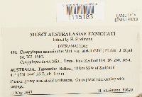 Thumbnail image of current specimen