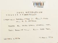 Image Associated With the Occurrence