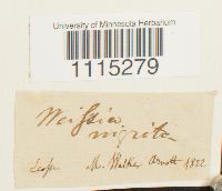 Image Associated With the Occurrence