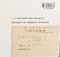 Image Associated With the Occurrence