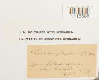 Image Associated With the Occurrence