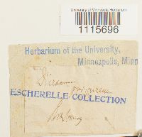 Image Associated With the Occurrence