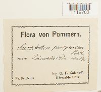 Image Associated With the Occurrence