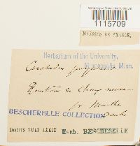 Image Associated With the Occurrence