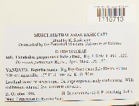 Image Associated With the Occurrence