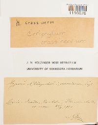 Image Associated With the Occurrence