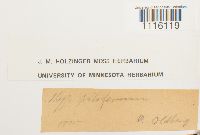 Image Associated With the Occurrence