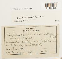 Image Associated With the Occurrence