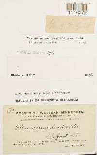 Image Associated With the Occurrence