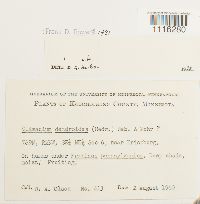 Image Associated With the Occurrence