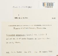 Image Associated With the Occurrence