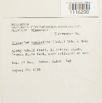 Image Associated With the Occurrence