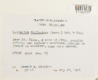 Image Associated With the Occurrence