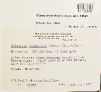 Image Associated With the Occurrence