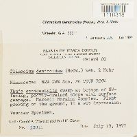 Image Associated With the Occurrence