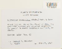 Image Associated With the Occurrence