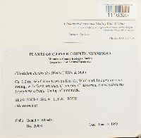 Image Associated With the Occurrence