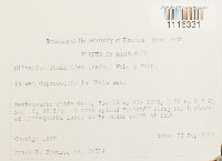 Image Associated With the Occurrence