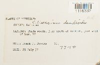 Image Associated With the Occurrence