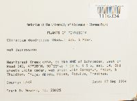 Image Associated With the Occurrence