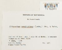 Image Associated With the Occurrence