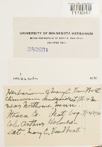 Image Associated With the Occurrence