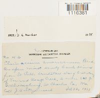 Image Associated With the Occurrence