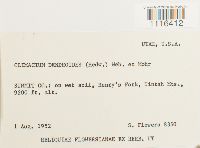 Image Associated With the Occurrence