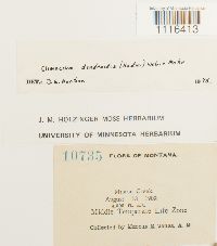 Image Associated With the Occurrence