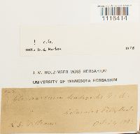 Image Associated With the Occurrence