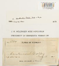 Image Associated With the Occurrence