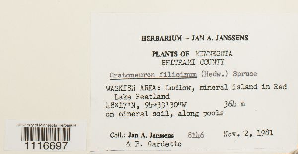 Drepanocladus sordidus image