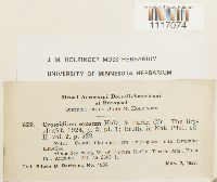 Crossidium crassinerve image