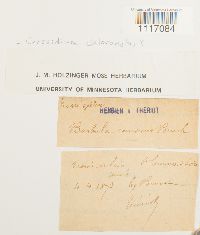 thumbnail image of current specimen
