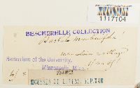 thumbnail image of current specimen