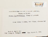 Image Associated With the Occurrence