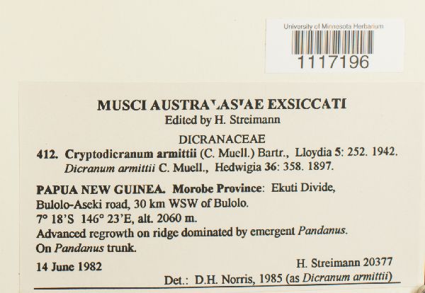 Cryptodicranum armittii image