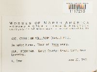 Image Associated With the Occurrence