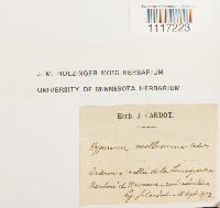 Image Associated With the Occurrence