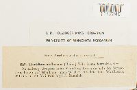 Image Associated With the Occurrence