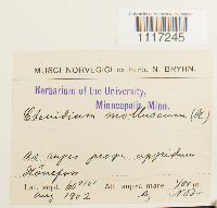 Image Associated With the Occurrence