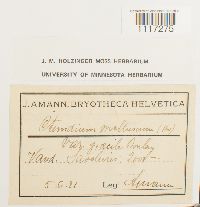 Image Associated With the Occurrence