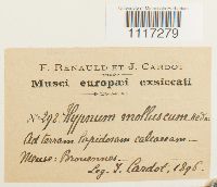 Image Associated With the Occurrence