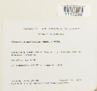 Image Associated With the Occurrence