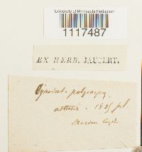 Image Associated With the Occurrence